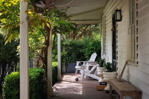 Gold Finch in Bendigo, Australia