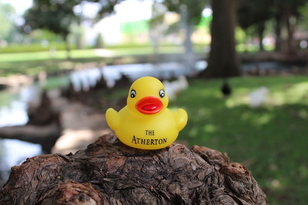 The Atherton Hotel At OSU - photo 90