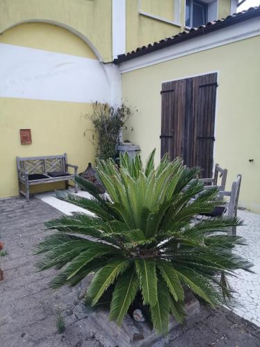 Fondo Marsiglia 110 — Comacchio — photo 3