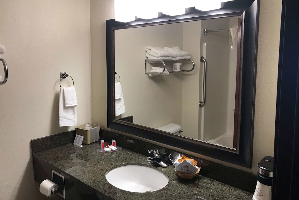 AmericInn by Wyndham Maquoketa - photo 11