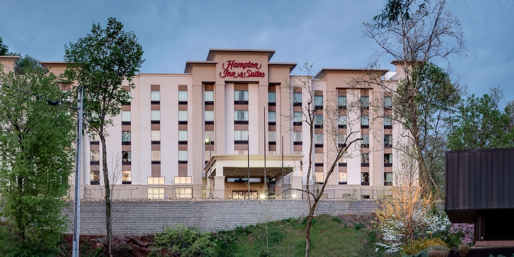 Hampton Inn & Suites Knoxville Papermill Drive - photo 40