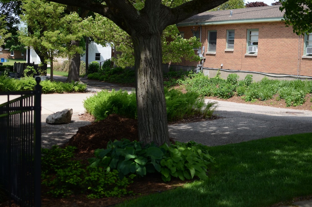 Ludington Blue Spruce Inn - photo 32
