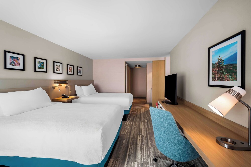 Hilton Garden Inn North Conway - photo 13