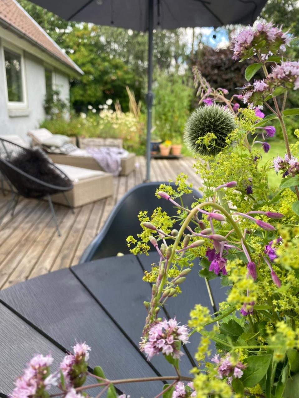 Højvangen in Skanderborg, Denmark