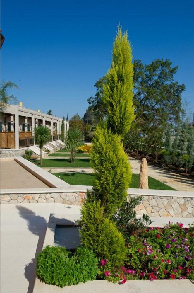 שטחי חוץ / גן