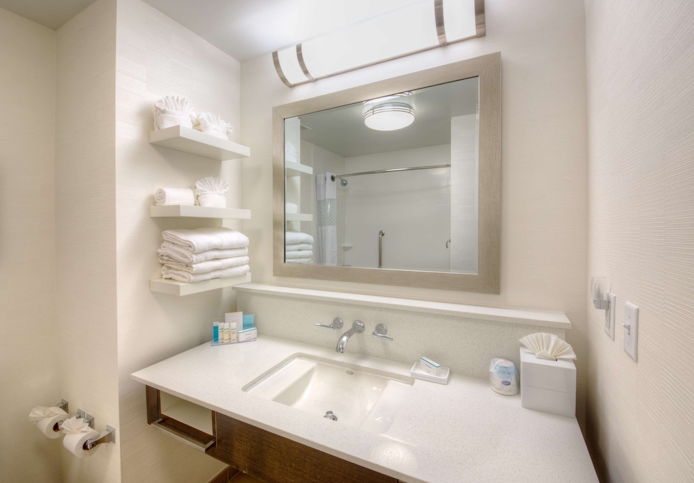Hampton Inn & Suites Dallas Plano East - photo 21