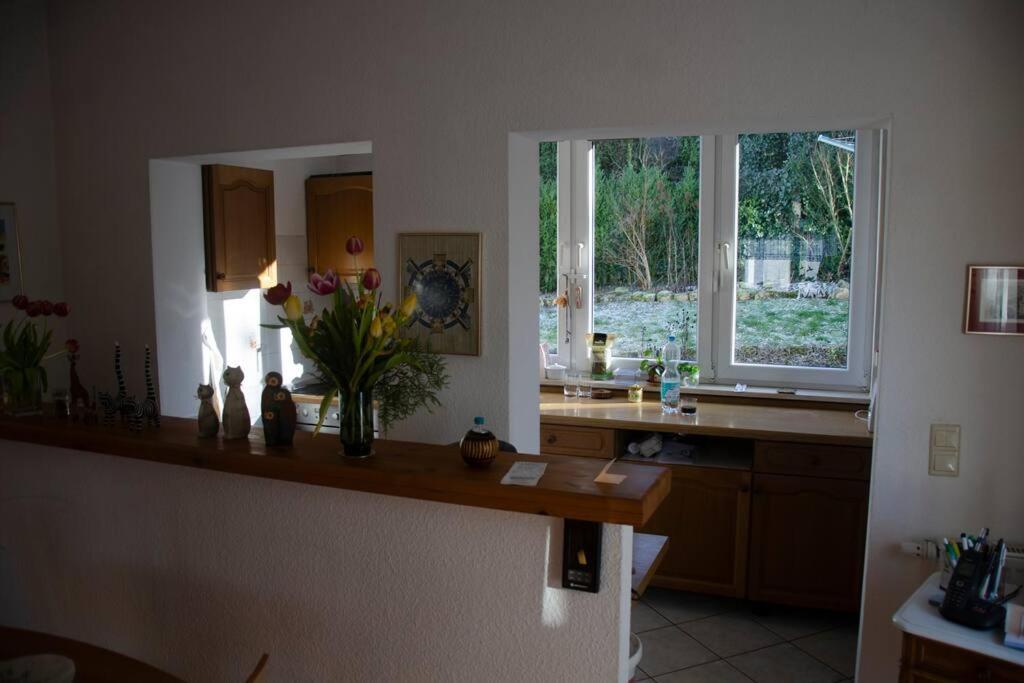 Kernberg Apartment Jena — Jena — photo 2