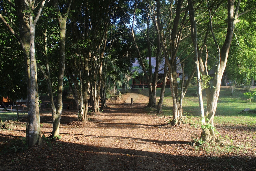 La Habana Amazon Reserve — Tambopata — photo 3