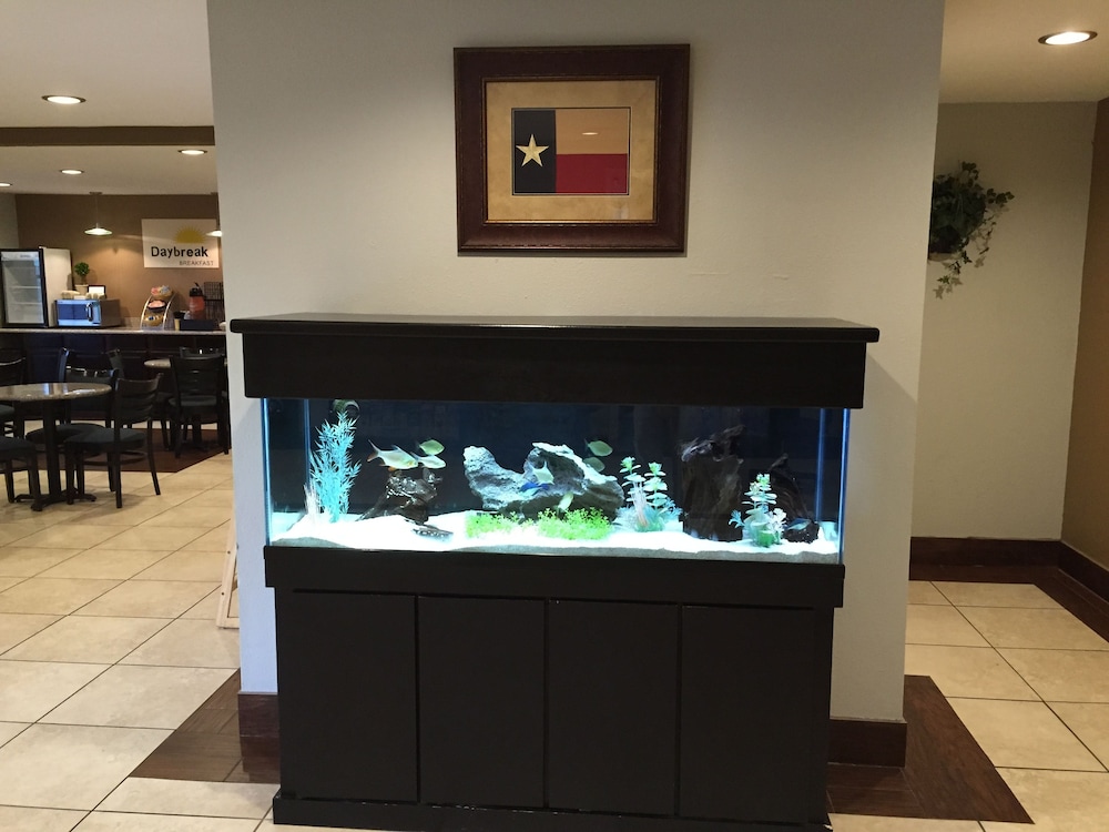 Days Inn by Wyndham New Braunfels - photo 6