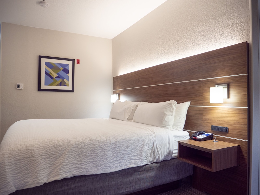 Holiday Inn Express & Suites Greenville Airport by IHG - photo 16