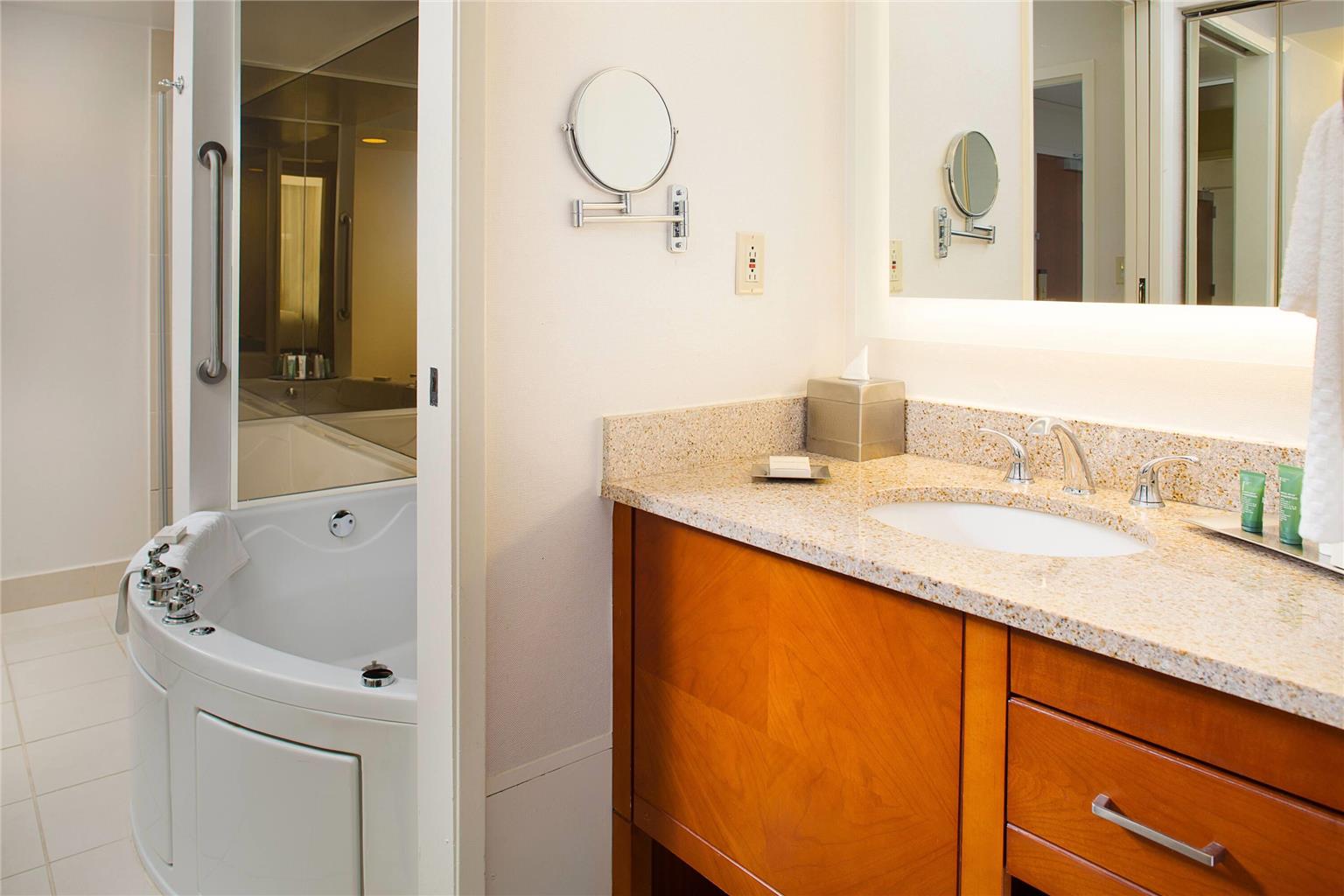 Wyndham Atlanta Perimeter - photo 20
