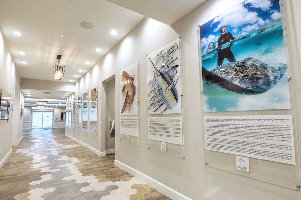 Guy Harvey Resort on St Augustine Beach - photo 72
