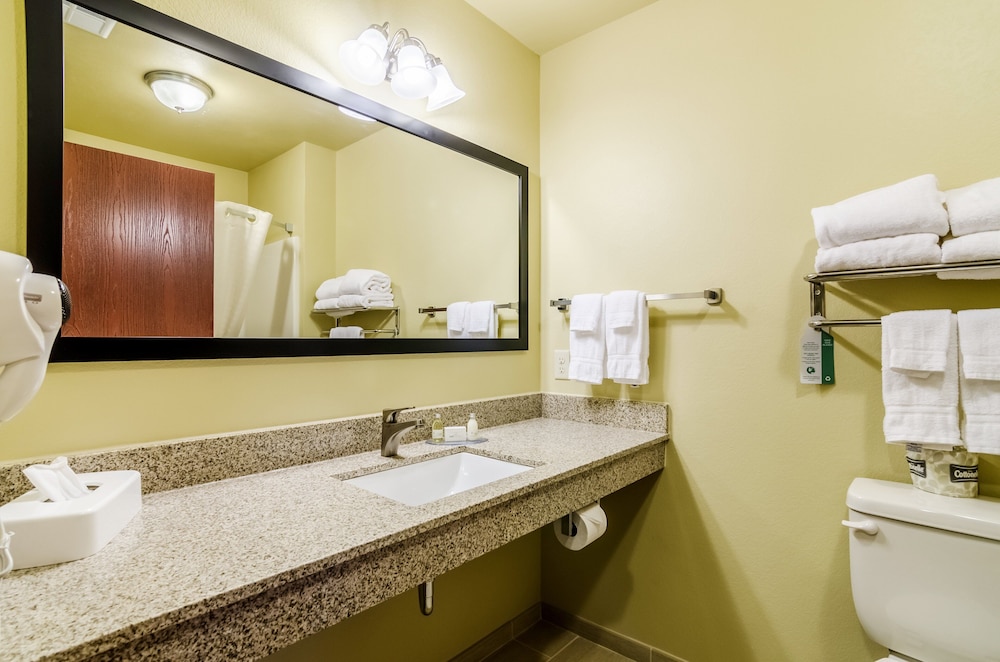 Cobblestone Inn & Suites Oberlin - photo 20