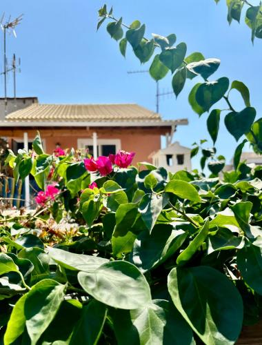 Traditional Corfiot House — 4-Star Luxury Hotel in Perivoli, Greece