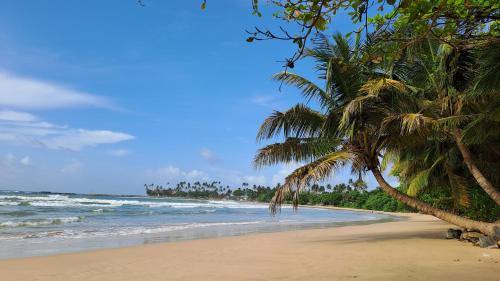 Moonlight beach - carbon neutral hotel in Tangalle