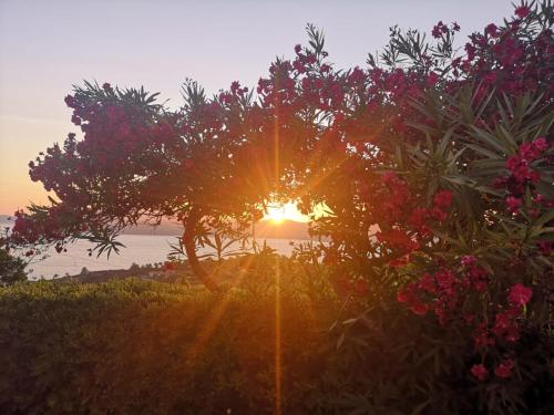 La casa sul tramonto Capoliveri services included — 4-Star Luxury Hotel in Capoliveri, Italy