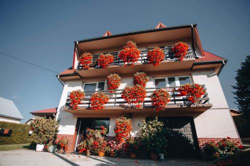 Noclegi u Sokoła in Bukowiec, Poland