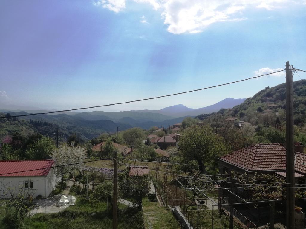 Xenonas Kypseli — Kipseli — photo 5