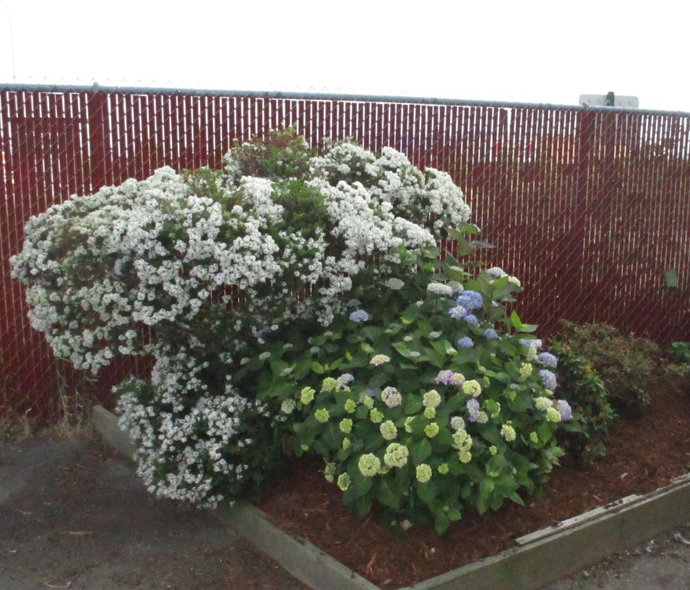 Cocusa Motel - photo 117