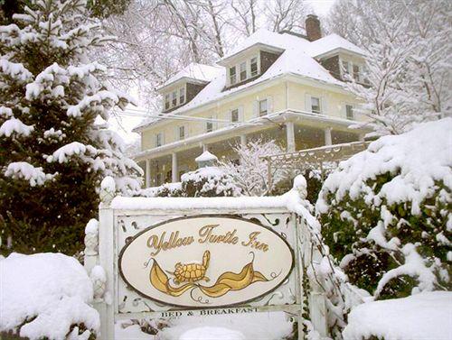 Yellow Turtle Inn - photo 11