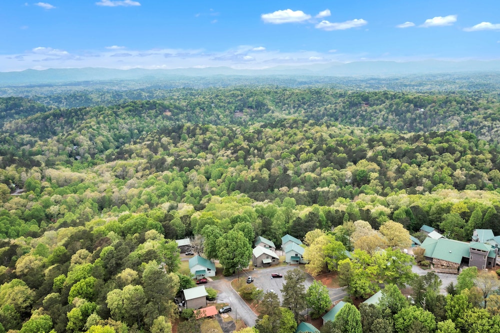 The Villas at Coosawattee River Resort - photo 8