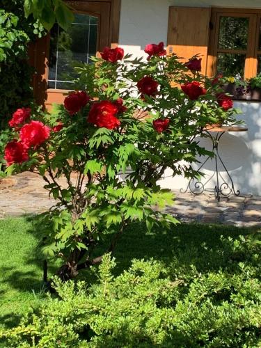 Ferienwohnung Fanese — Flintsbach — photo 4
