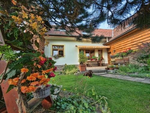 Penzion Sina in Dolny Kubin, Slovakia