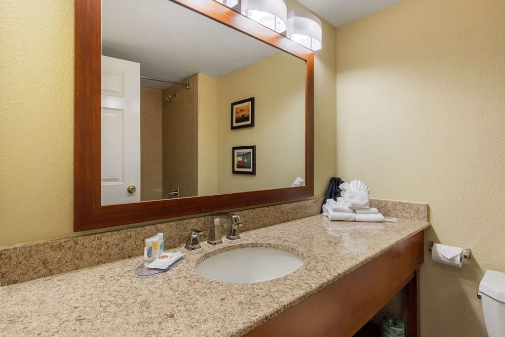 Comfort Inn & Suites SW Houston Sugarland - photo 14