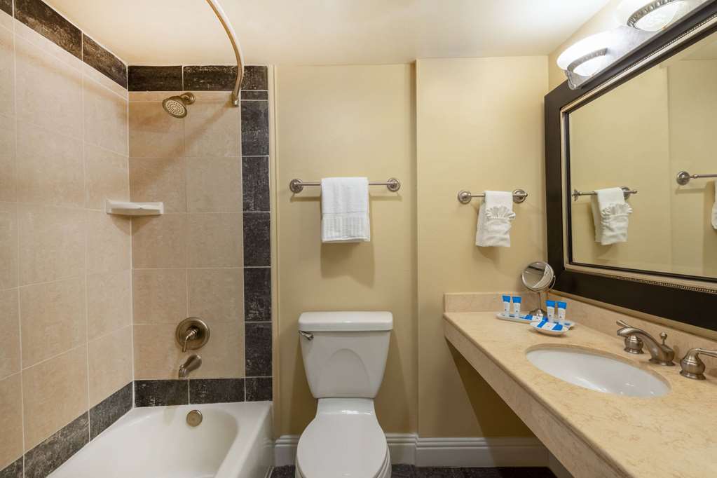 Safety Harbor Resort & Spa Trademark Collection by Wyndham - photo 19