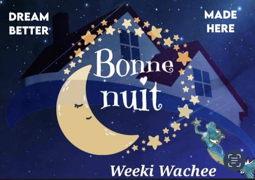 Bonne Nuit Weeki Wachee — hotel in Spring Hill
