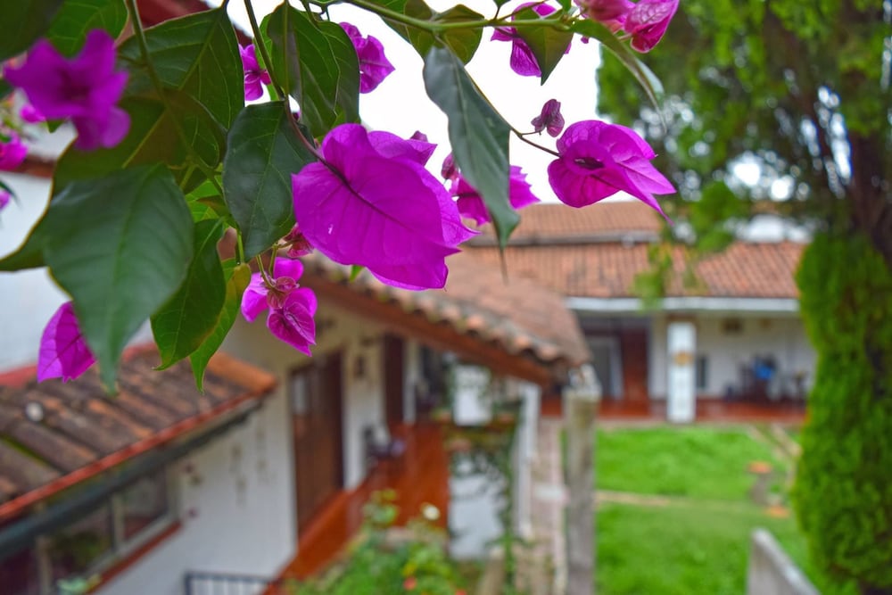 Hotel Posada Guivá — hotel in San Agustin Etla