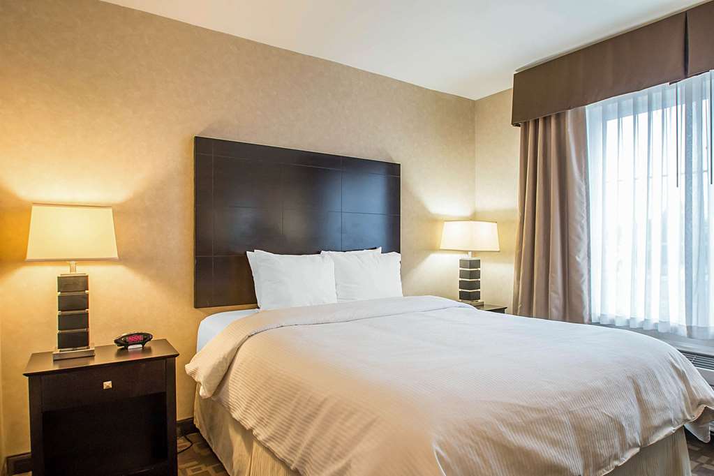 Clarion Inn Elmhurst Oak Brook near I 88 I 290 I 294 - photo 10