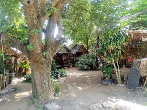 Easy Huts - carbon neutral hotel in Ko Lanta