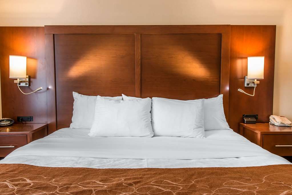 Comfort Suites Wixom Novi - photo 9