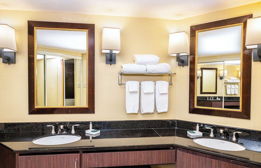 Hilton Richardson Dallas - photo 54