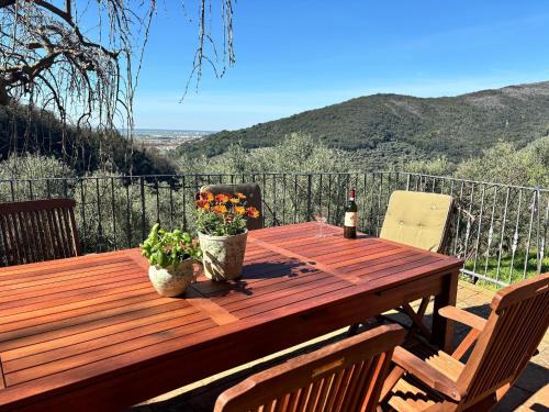 Villa in Tuscany with Pool and Olive Grove — 4-Star Luxury Hotel in Vicopisano, Italy