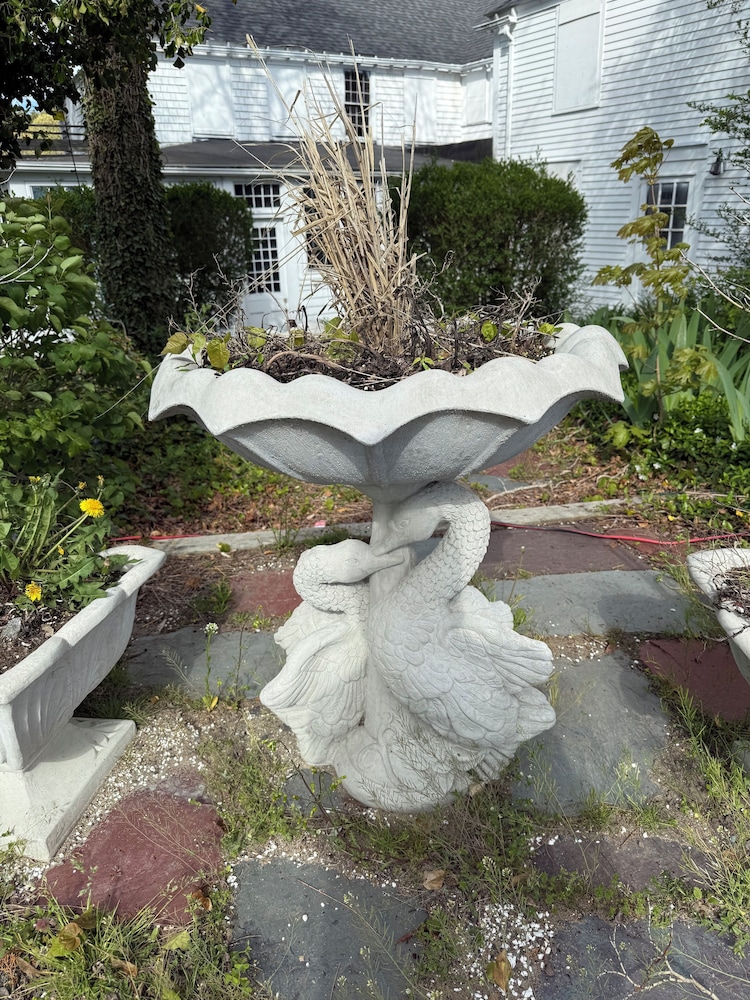 Copper Swan - photo 109