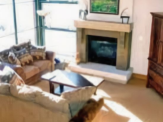 Ski Tip Townhomes East Keystone - photo 3