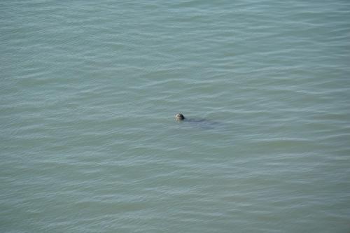 Hotel Marina Del Bay — Paita — photo 2