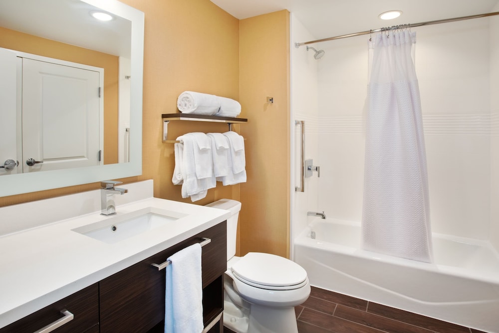 TownePlace Suites by Marriott Detroit Belleville - photo 30