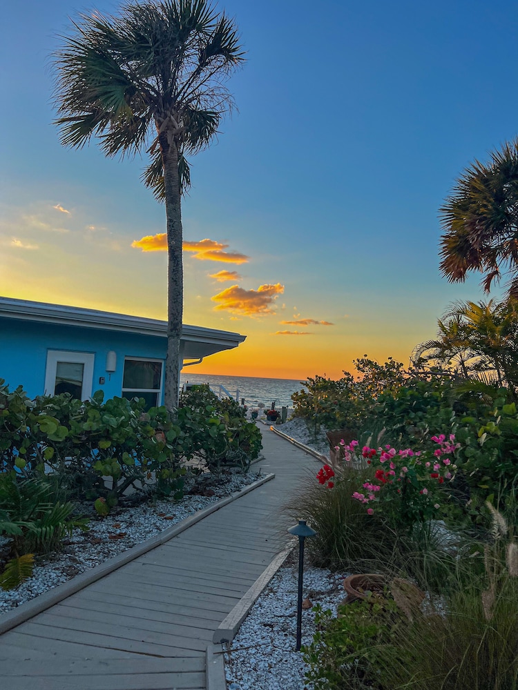 Pearl Beach Inn - photo 45