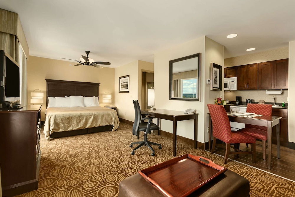 Homewood Suites by Hilton Binghamton Vestal NY - photo 10