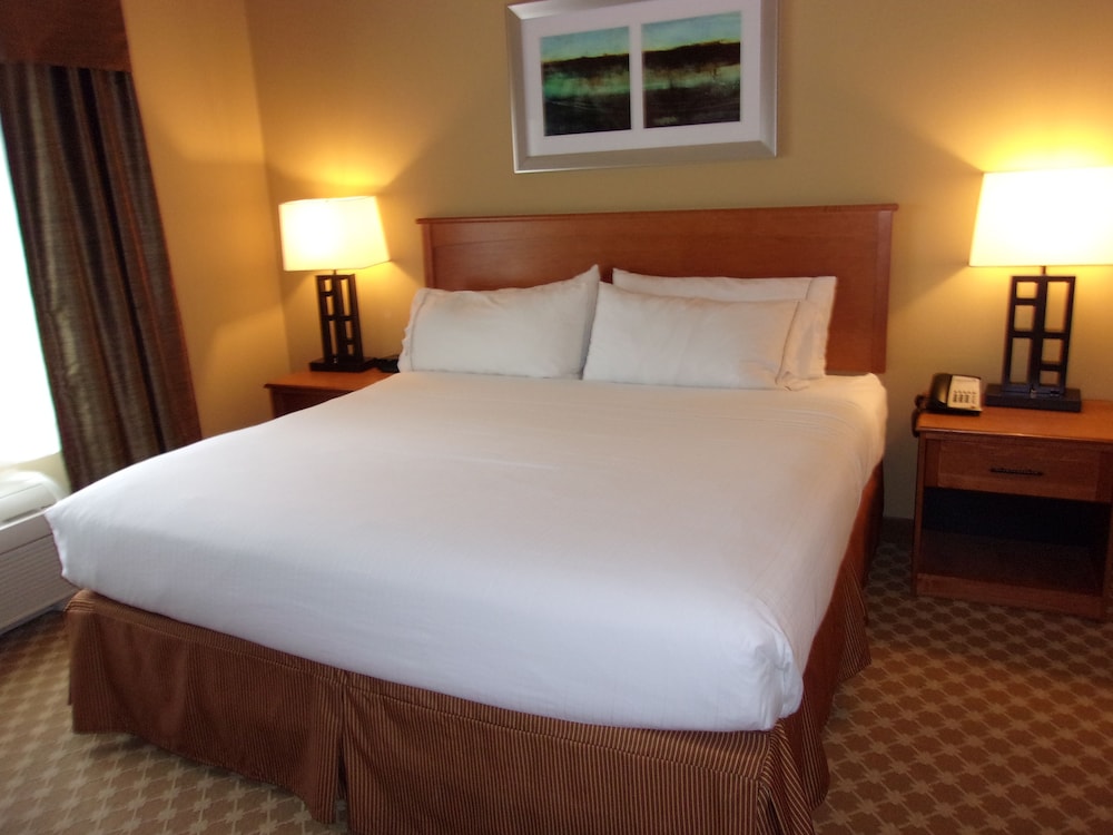 Holiday Inn Express & Suites Chicago West Roselle by IHG - photo 9