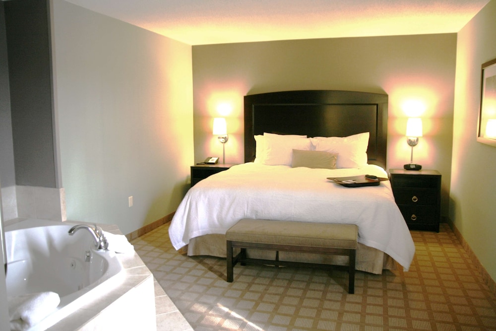 Hampton Inn & Suites Detroit Canton - photo 40