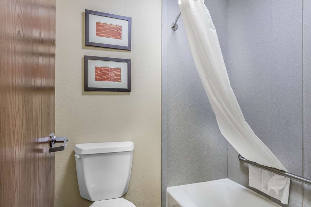 Comfort Inn & Suites Crystal Inn Sportsplex - photo 17