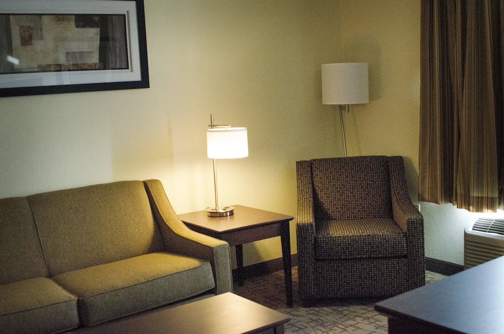 Cobblestone Inn & Suites Soda Springs - photo 21