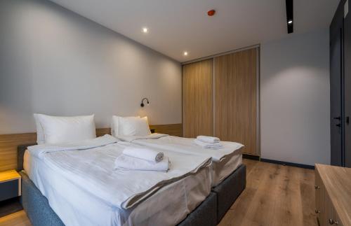 2 room Apartment NFT New Gudauri Atrium Suite