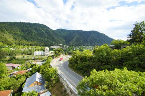 Borjomi Bridge Hotel