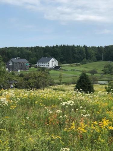 Fireballs Lodge 20781282 — Redfield