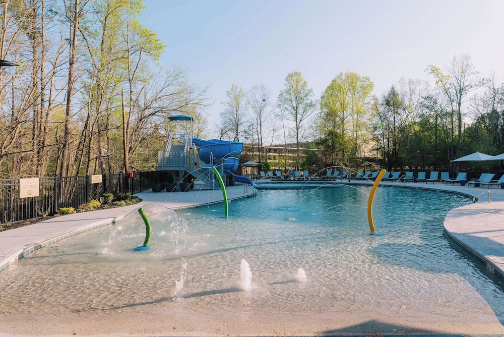 Embassy Suites by Hilton Gatlinburg Resort - photo 40